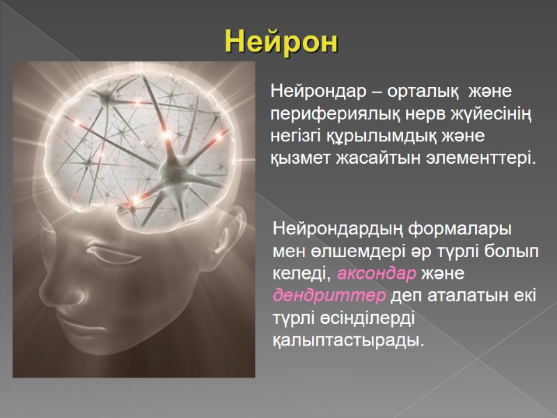 Нейрон Нейрондар – орталық  және перифериялық нерв жүйесінің негізгі құрылымдық және қызмет жасайтын
